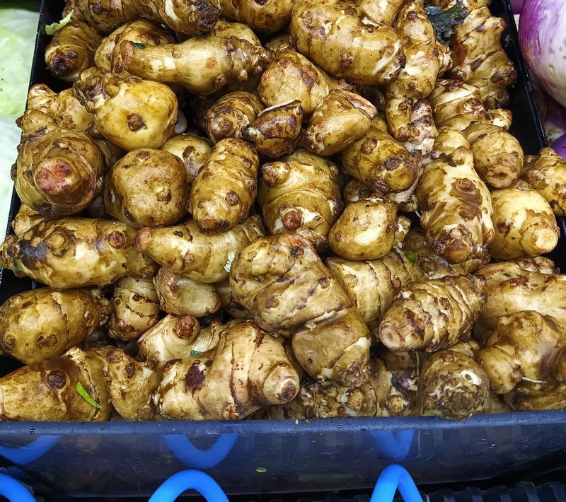Sunchokes