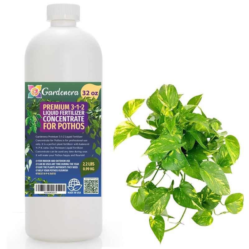 Fertilize During the Growing Season