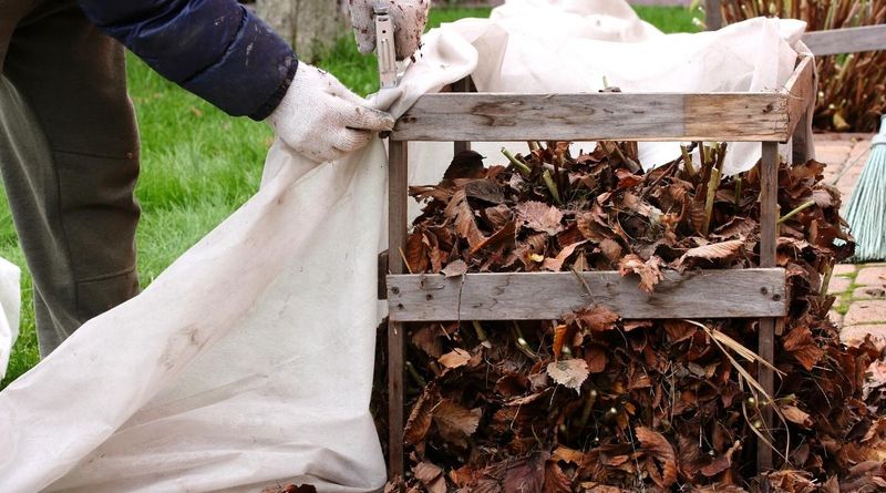 Do Not Ignore Winter Protection in Cold Zones