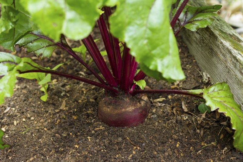 Feed Roots, Not Leaves