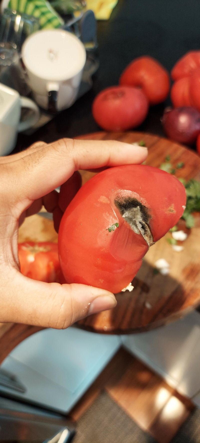 Cut out the damaged part and cook right away