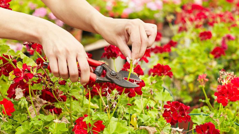 Skipping the Deadheading