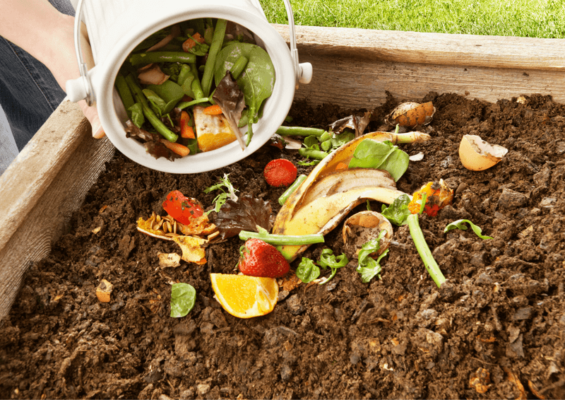 Vegetable Scrap Compost