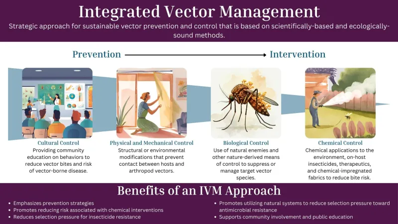 Choose Integrated Pest Management Before Blanket Spraying
