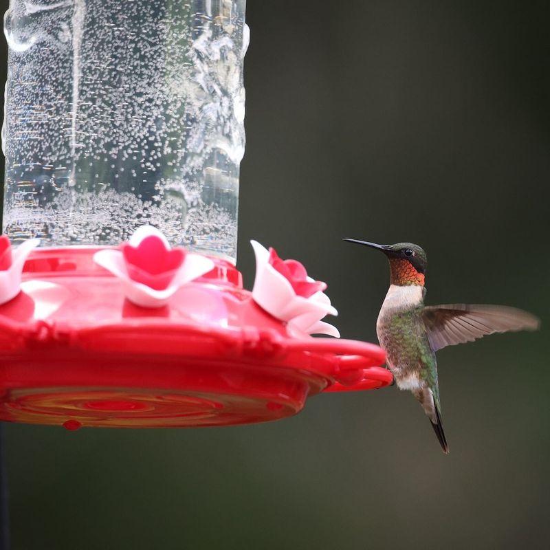 Fresh Nectar Still Matters After You Adjust the Spot