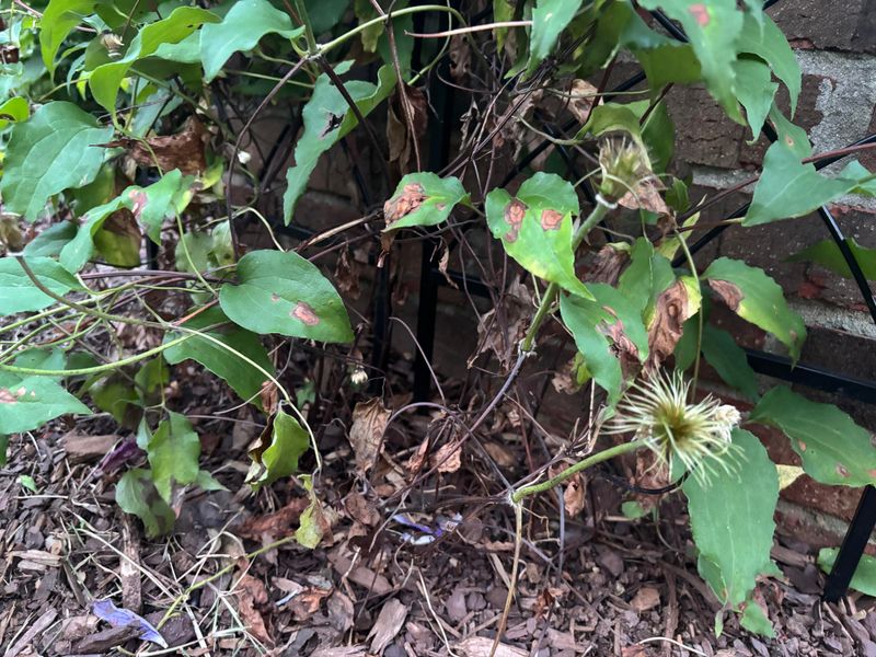 Be Patient And Let The Roots Rebuild