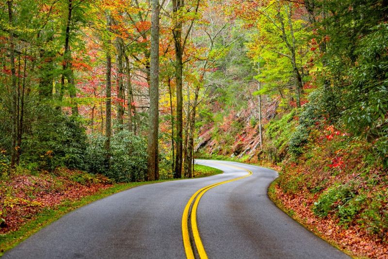 The 2026 forecast points to possible variation, not a statewide diagnosis