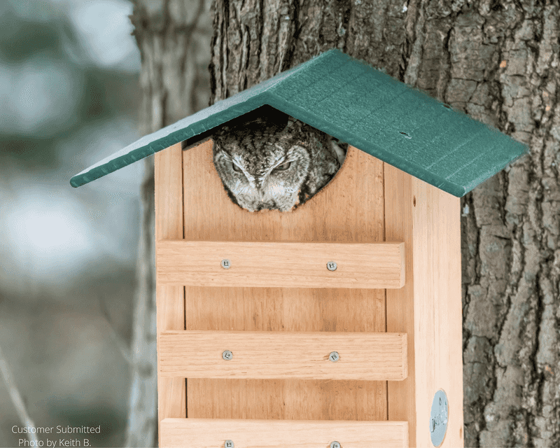 Let the box support a living, manageable yard