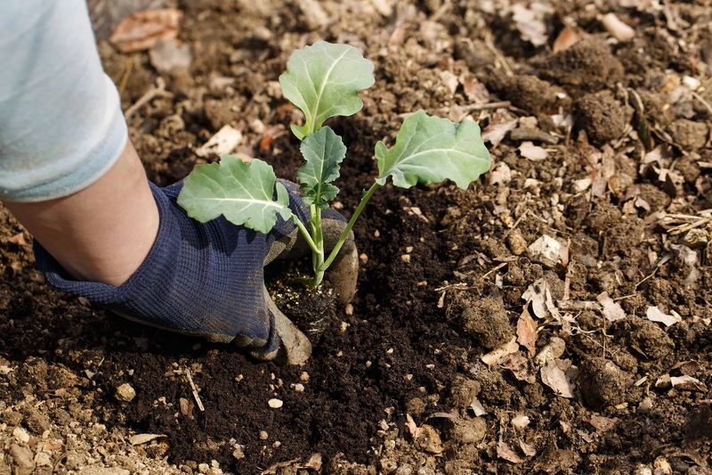 September is usually the outdoor deadline, not a universal indoor-start month