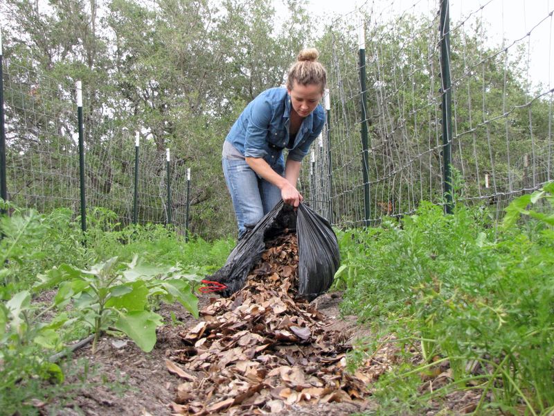 Tuck Roots In With Organic Mulch