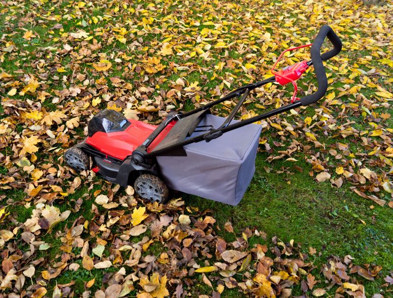 Collect what mowing leaves behind as a dense layer