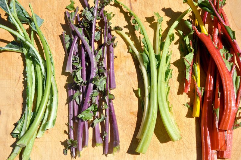 Kale Stems and Ribs