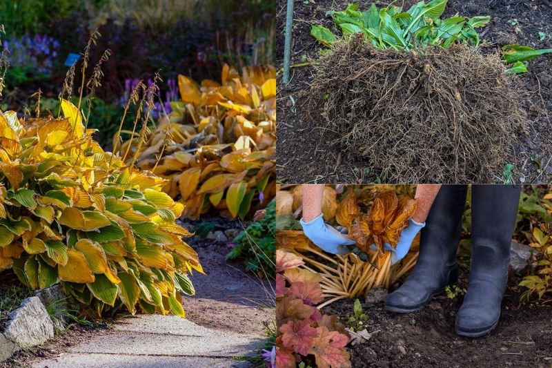 Finish with a sanitation-first fall checklist