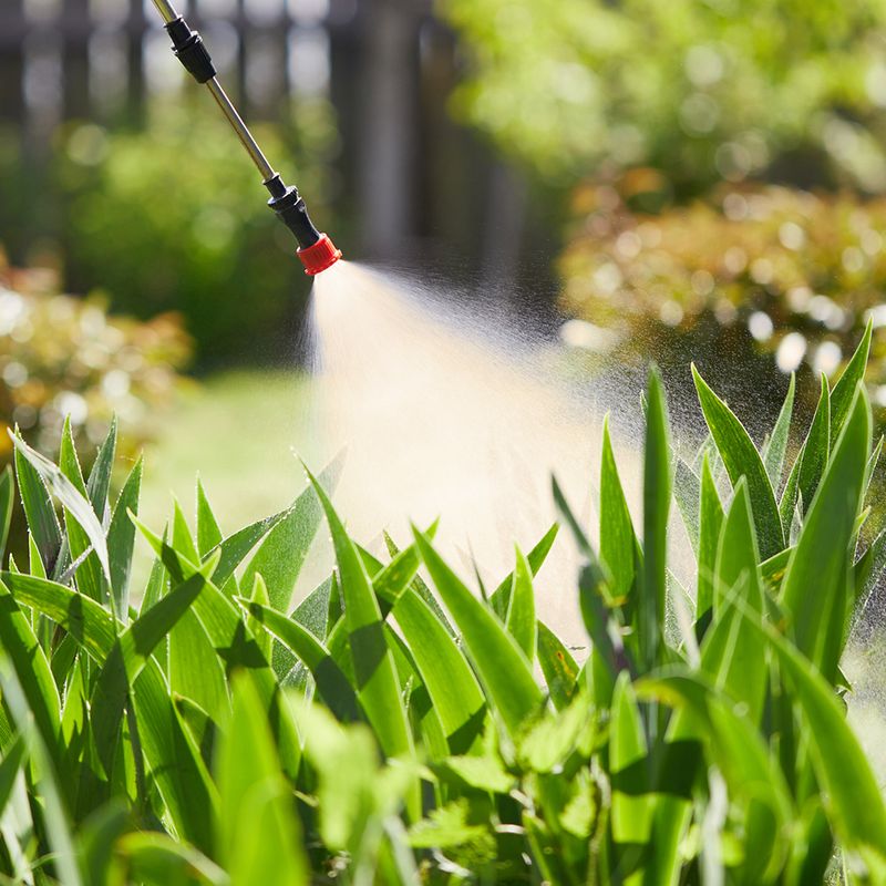 Pesticide Exposure Cannot Be Read From a Flashing Lawn