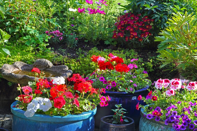 Match the Right Type to Beds Versus Containers