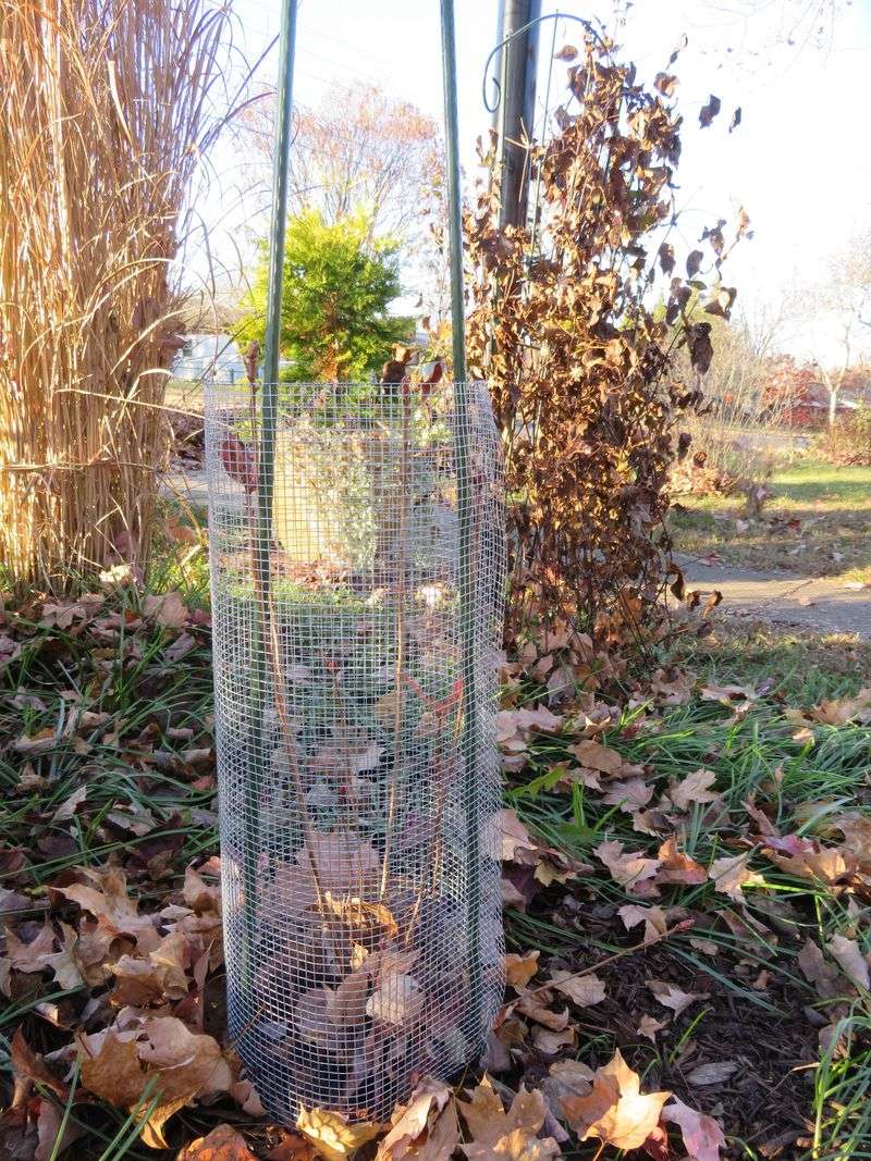 Use targeted controls when rodents are causing damage
