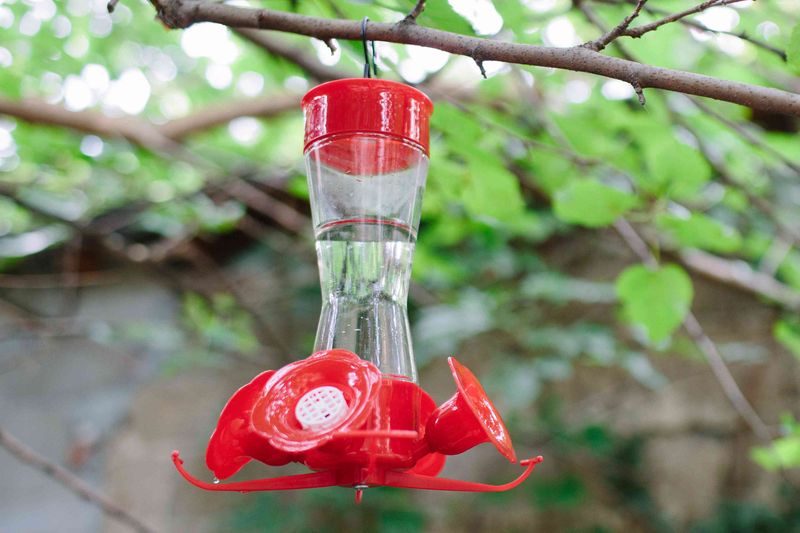 Use partial shade to protect nectar quality