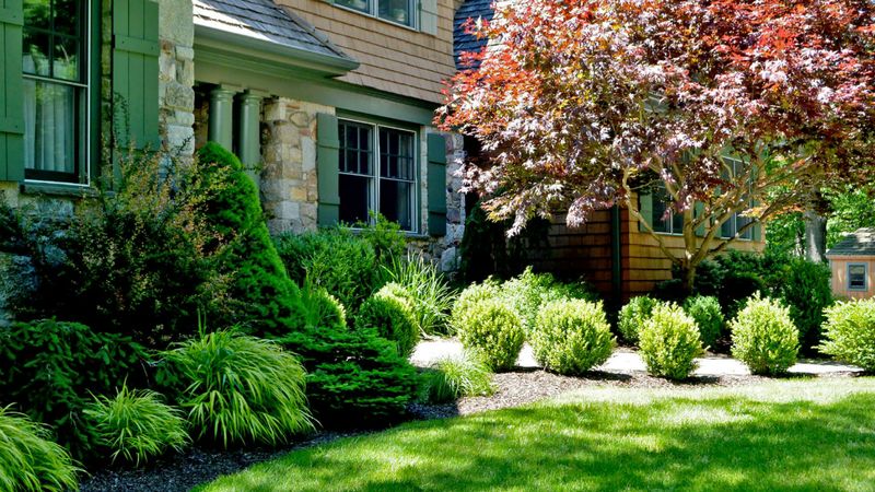 Right Against the House Foundation