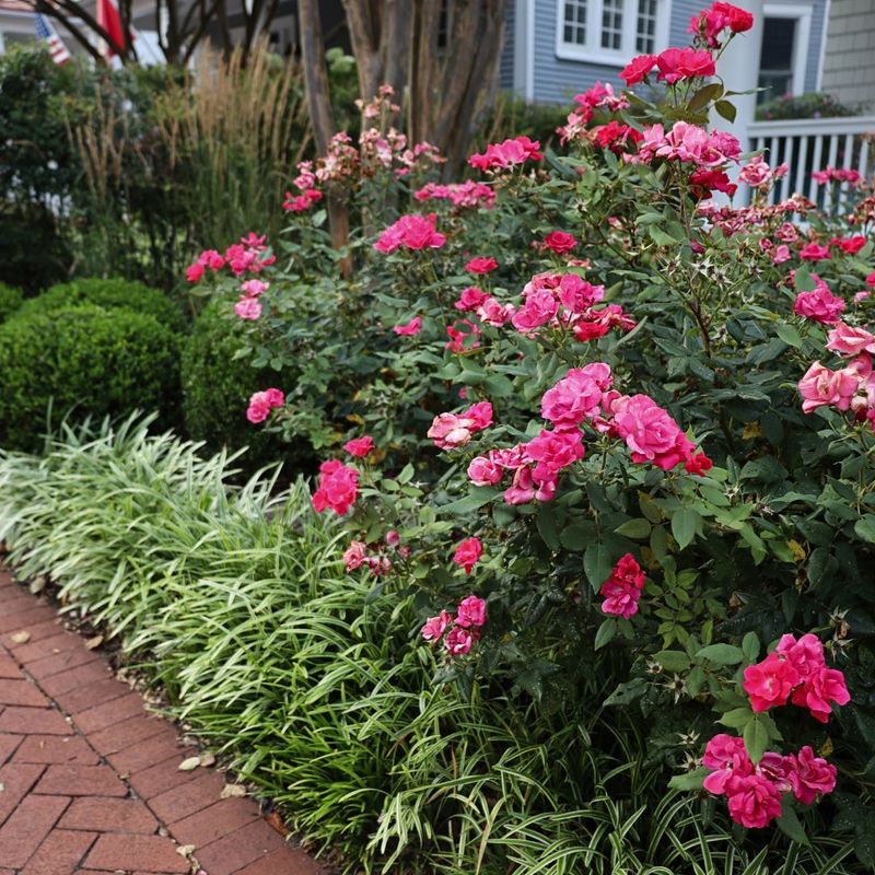 North Carolina soil and site conditions set the interval