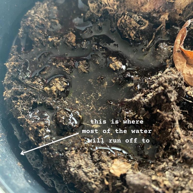 Dry Soil Turns Water-Repellent