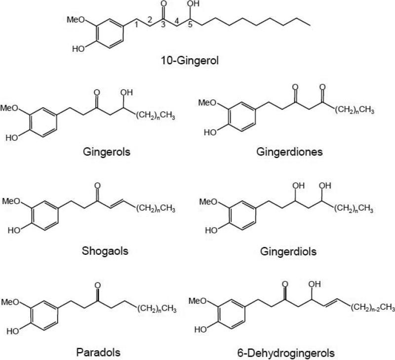 COX-2 is the laboratory target behind ginger’s reputation