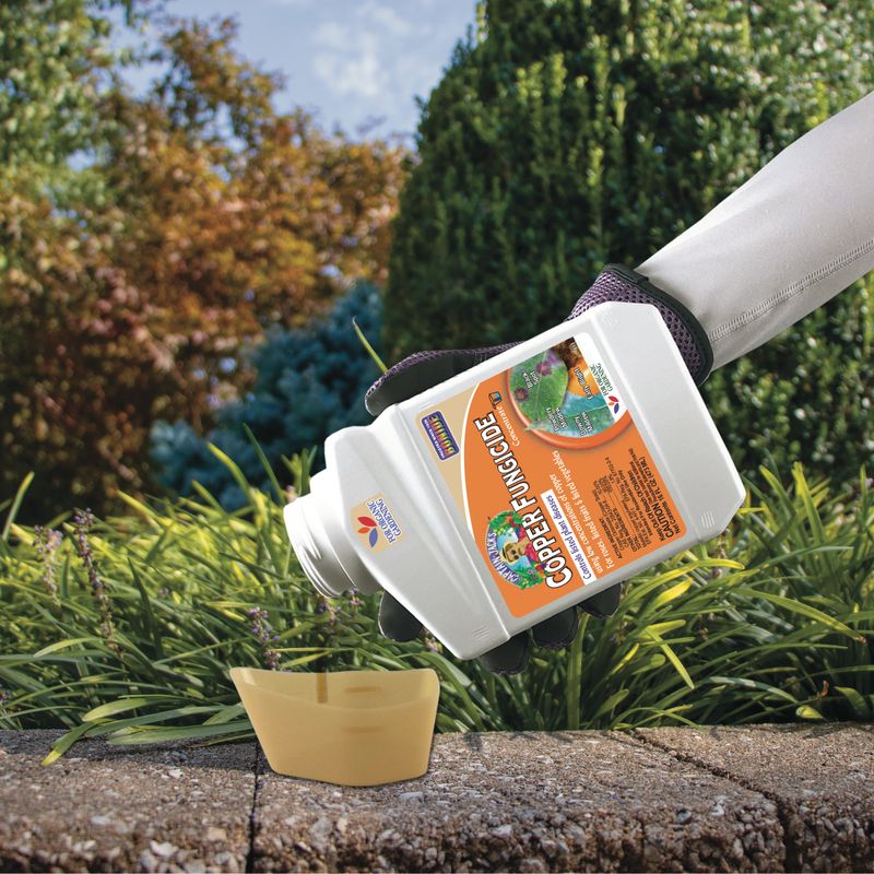 Check the current label before considering any pesticide