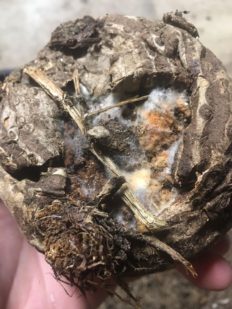 Check stored material through winter