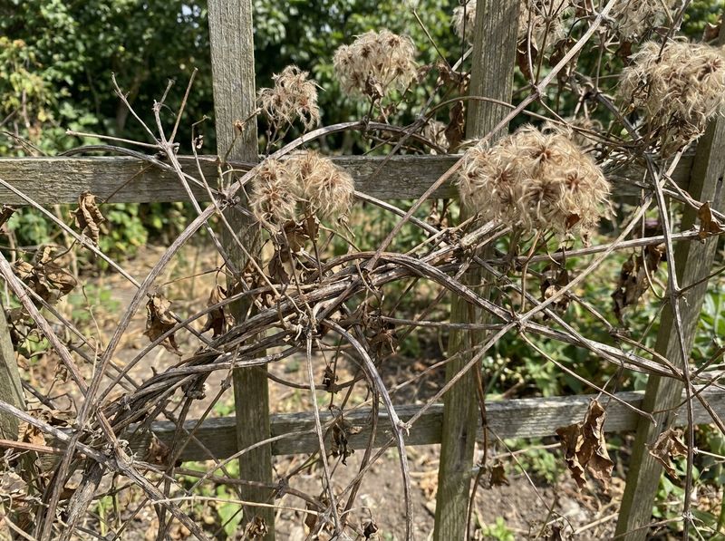 Group 1 needs restraint after its spring display