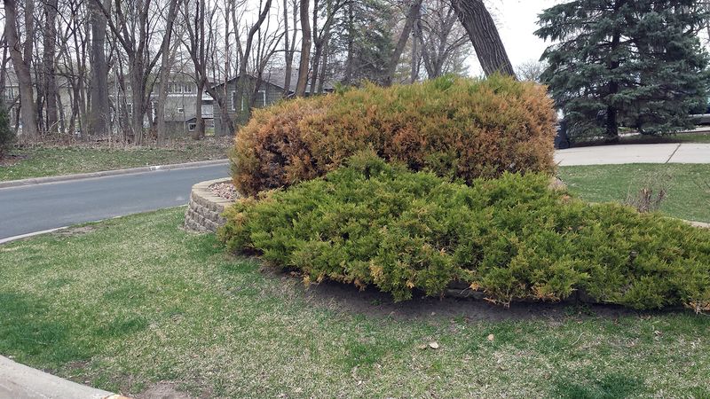 The Hidden Damage Happening in Your Soil