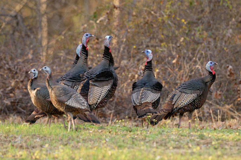 A fall visit is a clue, not a verdict