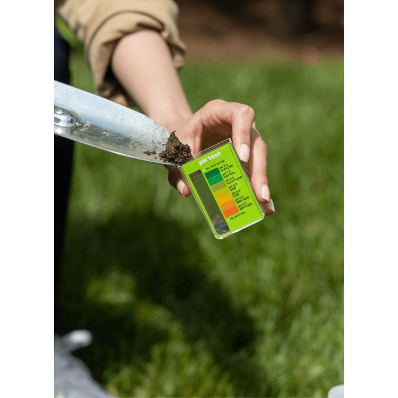 Test and Adjust Your Soil pH