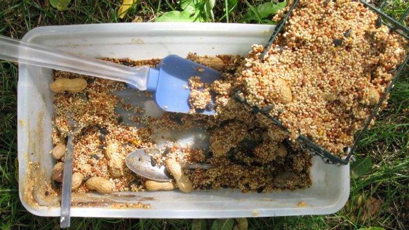 Peanut Butter Mixed with Cornmeal