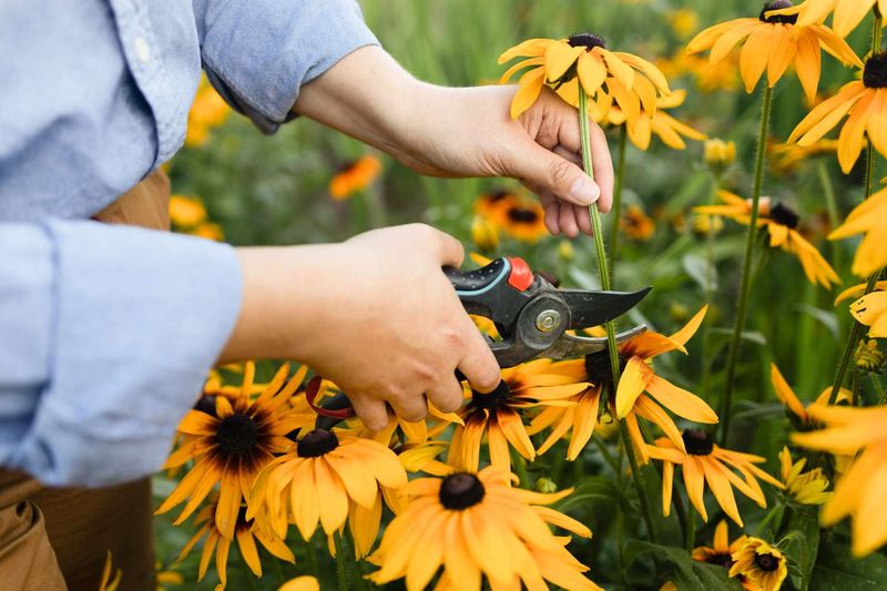 Make a selective cutback, not a blanket winter cleanup