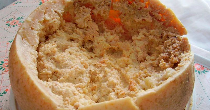 Casu Marzu