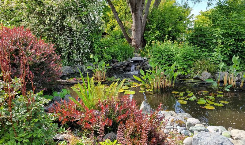 Choose Habitat Care Over Quick Fixes