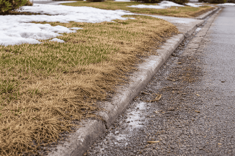 Salt-Splashed Strips Along Driveways