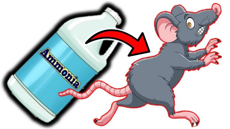 Ammonia