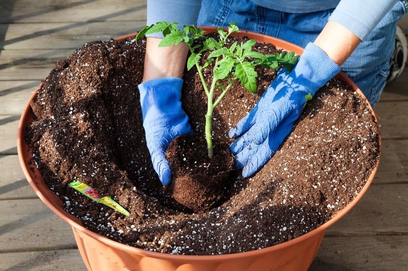 Match the starting plan to your growing method