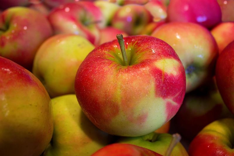 May Reduce Risk of Certain Cancers