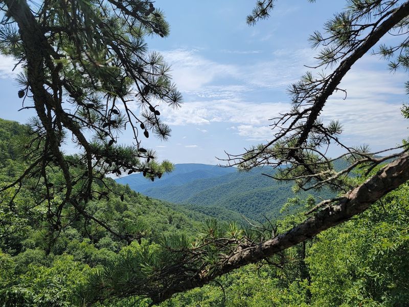 Trail Tips That Actually Make a Difference