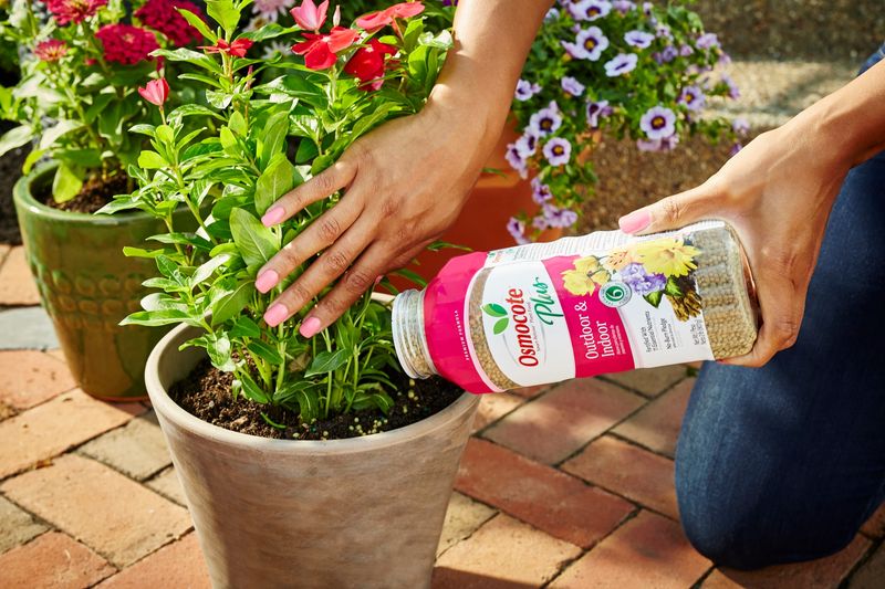 Use Slow-Release Granules for Busy Weeks