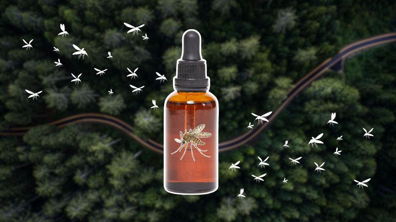 What the formulated-oil evidence actually shows