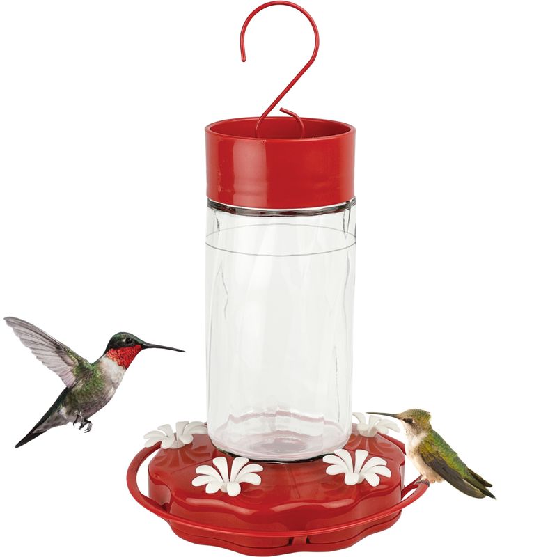 Red-Accented Feeders (Not Red Dye)