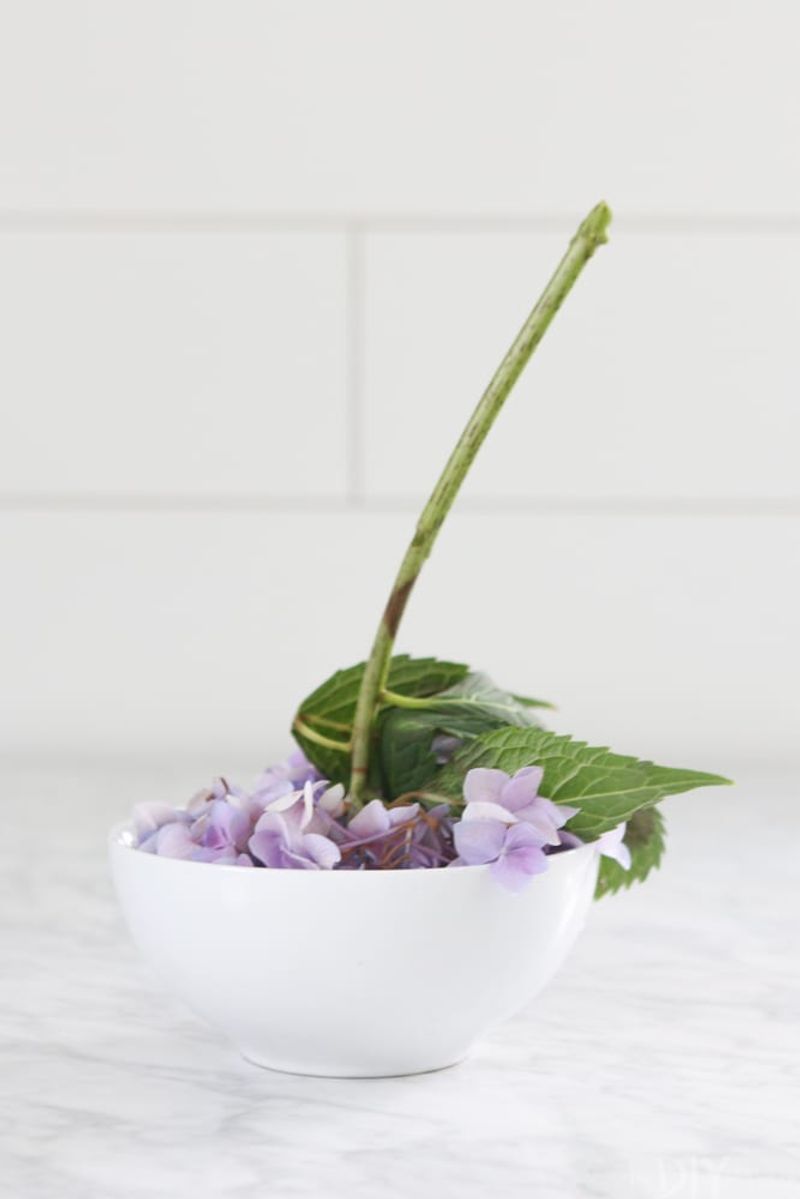 One Section of Stems Bent, Chewed, or Cracked