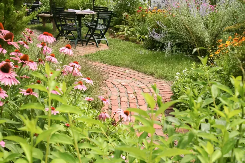 Keep paths and activity areas clear of brushing vegetation