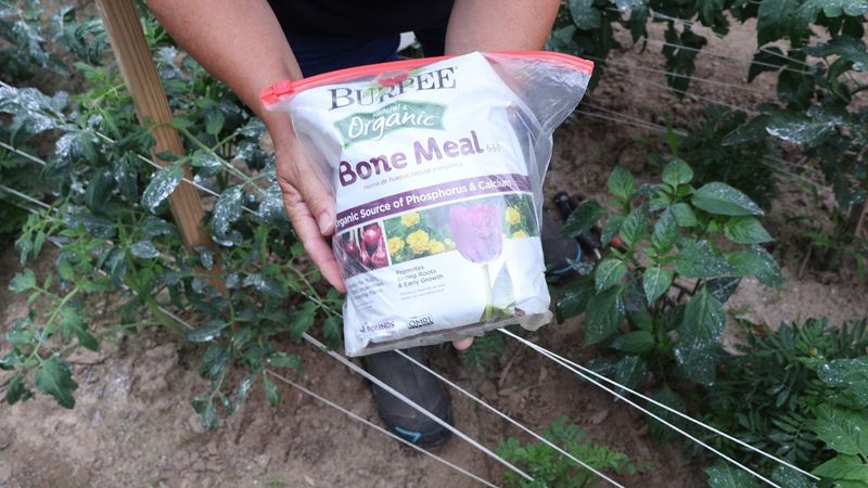 Add Bone Meal for Calcium and Phosphorus