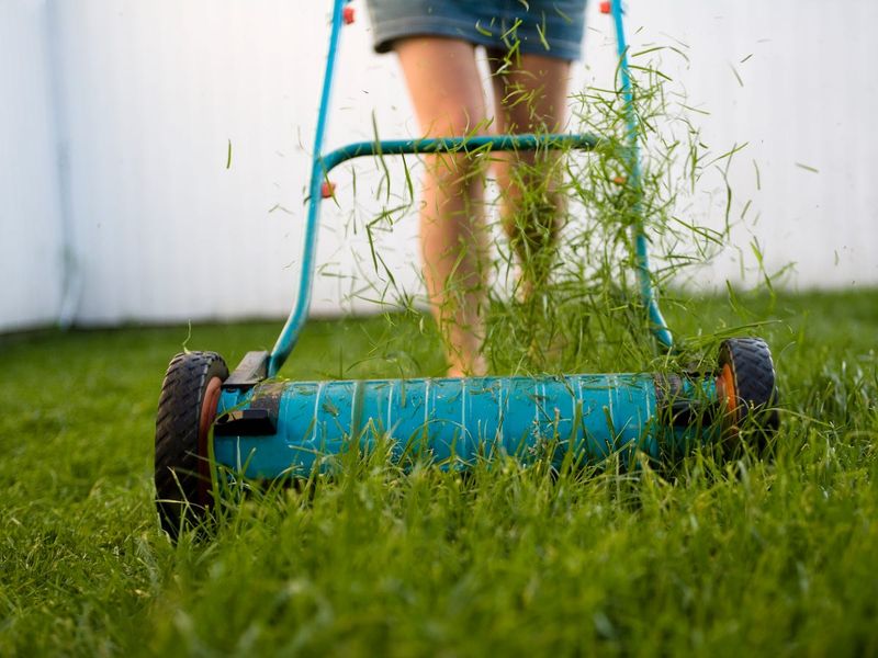 Removing Too Much Grass Blade at Once
