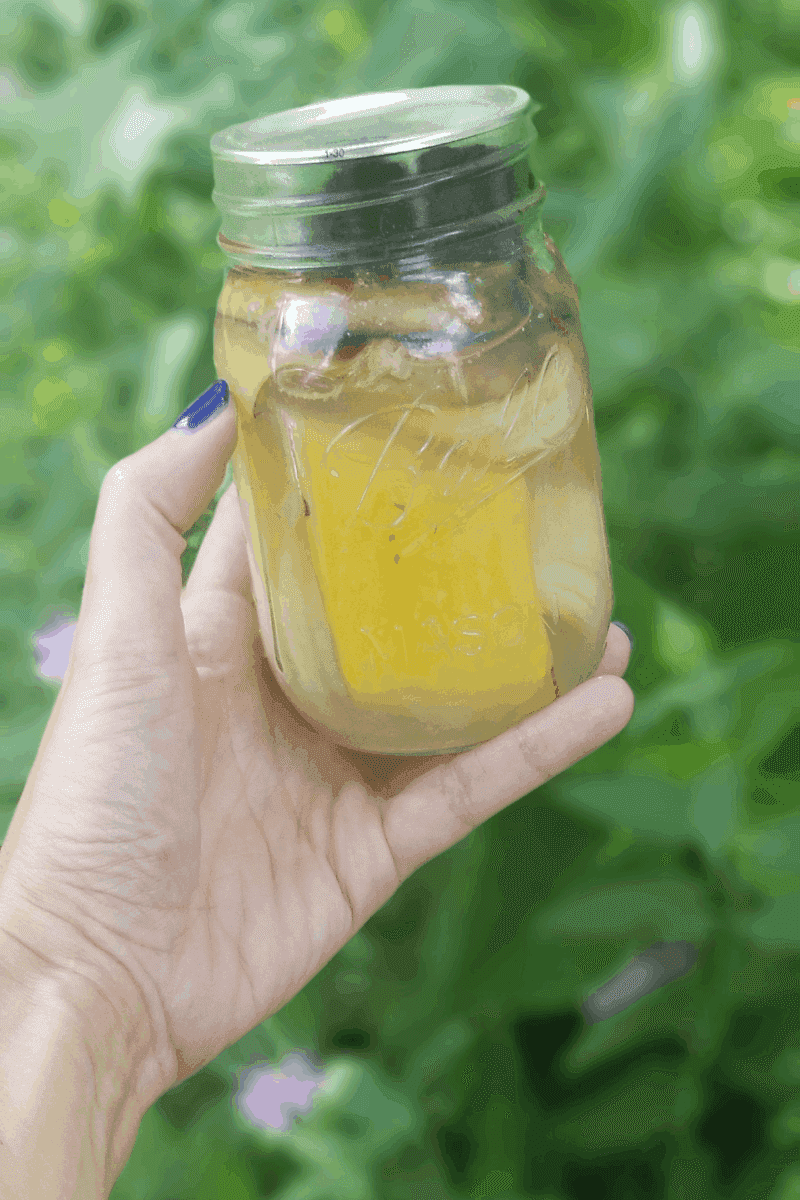 Brew A Banana Peel Potassium Water