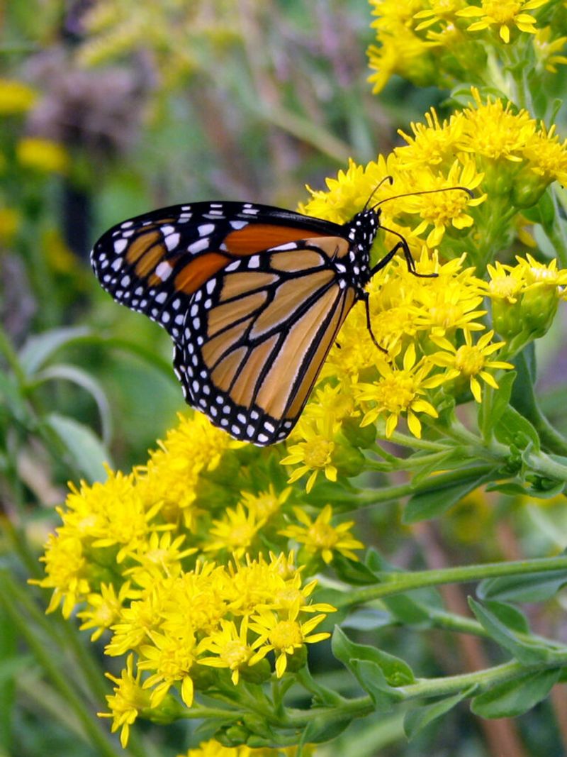 Seasonal timing changes what the behavior may suggest