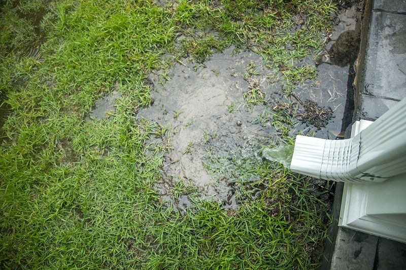 Follow the water before changing the soil